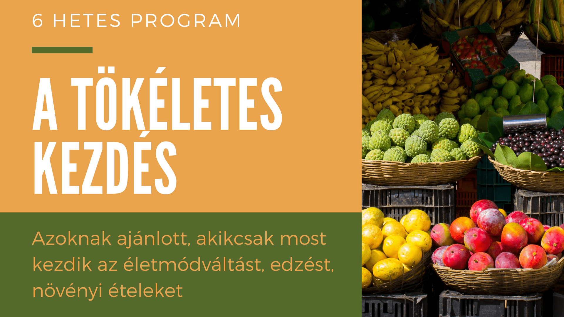 starter program 2